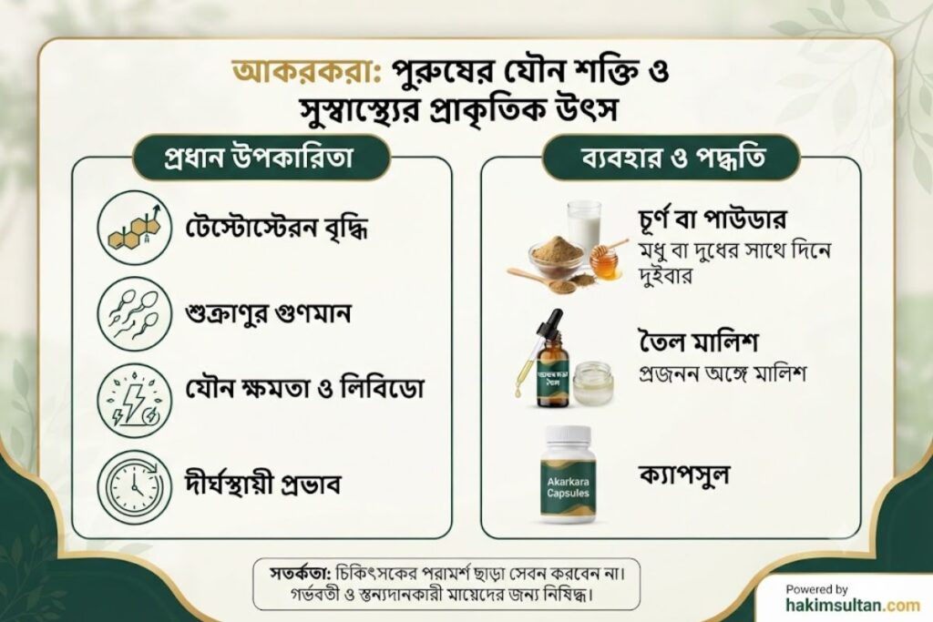 আকরকরা কি পুরুষের যৌন শক্তিতে উপকারী গবেষণা, ব্যবহার ও সতর্কতা
